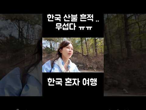고운사 산불 흔적 보다가 마음이 아프다