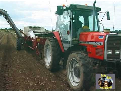 UNTERSTE GANGZAHNRAD ​​- DER MASSEY FERGUSON 3075
