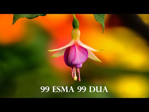 99 ESMA 99 DUA | Kuran Terapi Şifa Noktası | Allah'ın 99 İsmi