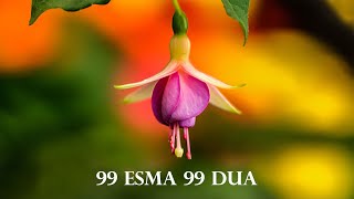 Download lagu 99 ESMA 99 DUA | Kuran Terapi Şifa Noktası | Allah'ın 99 İsmi mp3