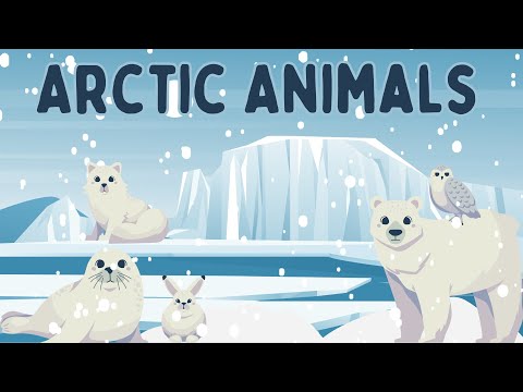 Fun Arctic Animals Song for Kids | Polar Bears, Narwhals, and More!