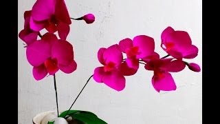 how to make orchid flower free video search site findclip how to make orchid paper flower