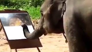 Download lagu Ada gajah dibalik batu mp3