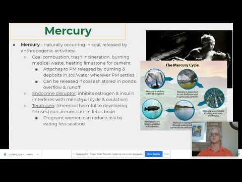 8.3Endocrine Disruptors & Industrial Water Pollutants