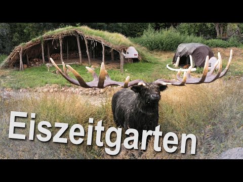 Film über den Eiszeitgarten des Städtischen Museums Schloss Salder