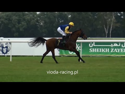 Gon. I - 29.08.2020 - Magic Algazal (Gazal Al Shaqab - Ale by Magnifique)