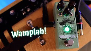 Video thumbnail for Wampler Moxie by Jack Fossett
