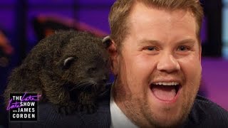 Leopards, a Bearcat & Penguin w/ Jack Hanna