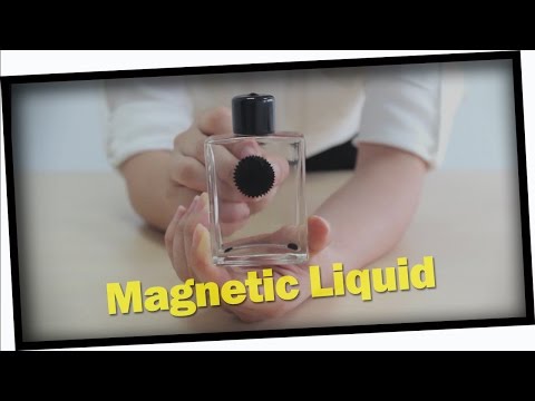 Magnetic Liquid Display Awesome Science Novelty Toy from GearBest.com