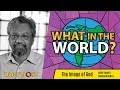 What in the World? EPISODE 2: The Image of God with Vinoth Ramachandra