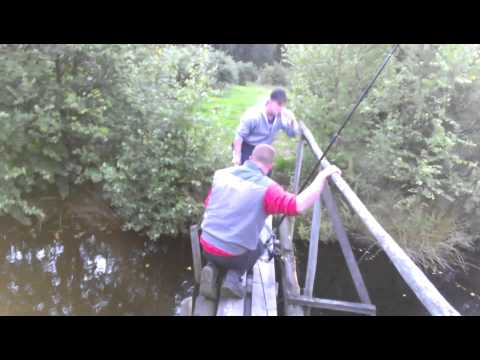 Dollern Umspannwerk Rotfeder gefangen