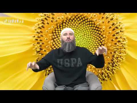 Preporuka vaktija - Elvedin Pezić