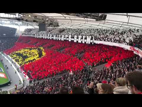 VfB Stuttgart vs Karlsruher Sc Choreo!!! GÄNSEHAUT!!! 24.11.19