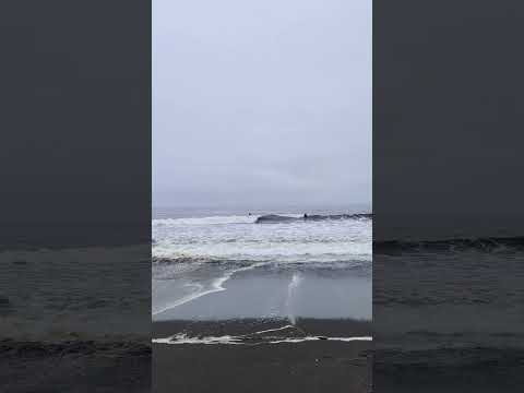 Vecinos Bikers salida a la desembocadura del río Bío Bío Hualpén Chile 🇨🇱🚴🦅💪
