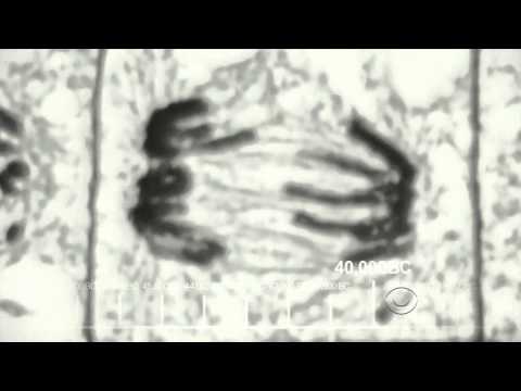 The Big Bang Theory   Theme Song (20 seconds) (greek subs)