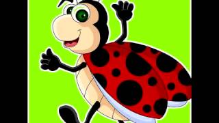 biedroneczki piosenka dla dzieci