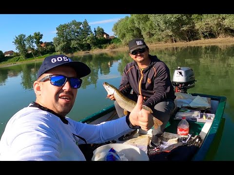 VLOG - dan s ekipom na Savi - bučka, spin, feeder