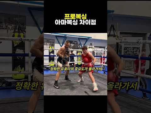 프로복싱vs아마복싱 #복싱