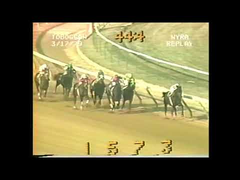 VENCEDOR - The Toboggan Handicap 1979