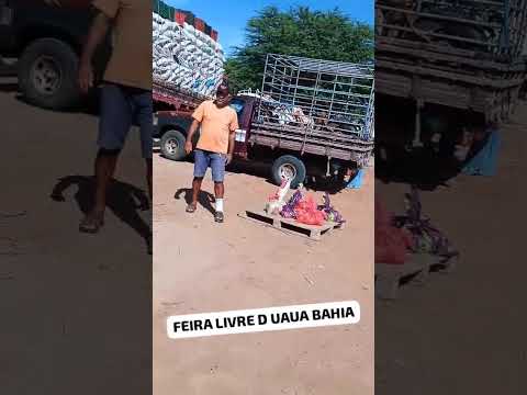 FEIRA LIVRE DE UAUÁ BAHIA