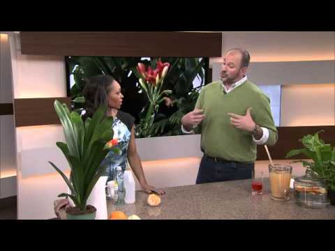 download lagu mp3 mp4 Organic Weed Killer Using Vinegar, download lagu Organic Weed Killer Using Vinegar gratis, unduh video klip Organic Weed Killer Using Vinegar