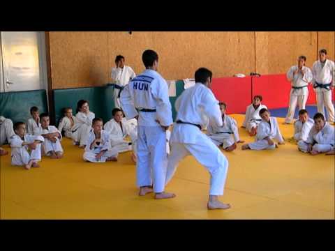 JUDO VIDEO VEJSE /TAI-OTOSHI/ BRAUN ÁKOS