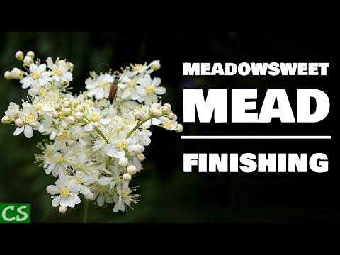 Meadowsweet Mead Finishing - What Went Wrong?