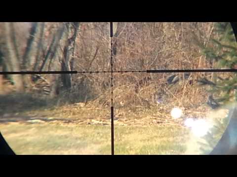 Airforce Talon ss .22, 141 yard shot