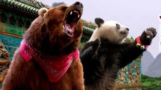 Kuma korn: no place to hide