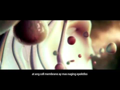 Ulam na root kintsay diyeta Ako hindi nawawala ang timbang sa NTV Nobyembre 2014