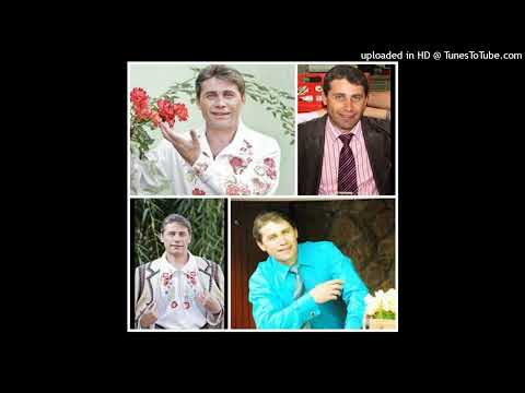 ~ Dumitru Stoicanescu - Tinerete faina cum te duci { @Ghita Olaru Studio Audiotim }