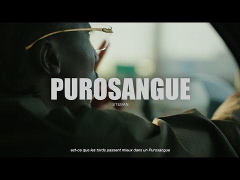 Video thumbnail for Purosangue
