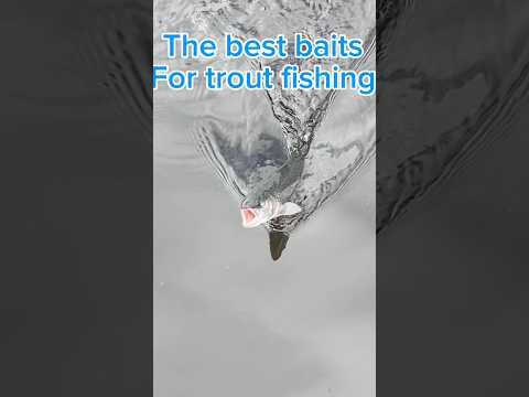 The best baits for trout fishing… #fishing #troutfishing