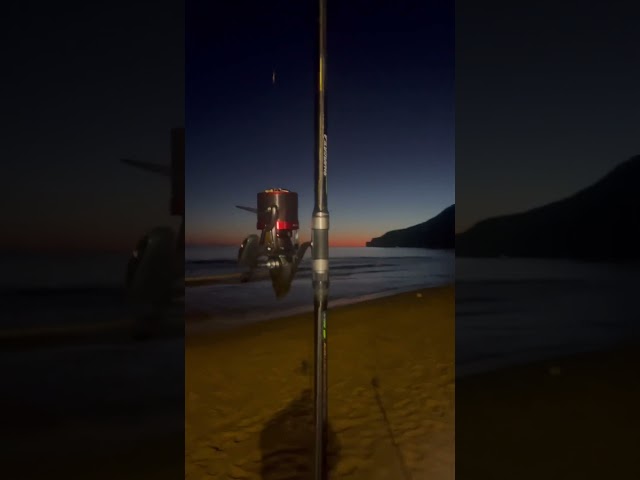Vídeo relacionado con COLA SURF CASTING KALI KUNNAN 20-57 SOLID ROJO (10 unidades)