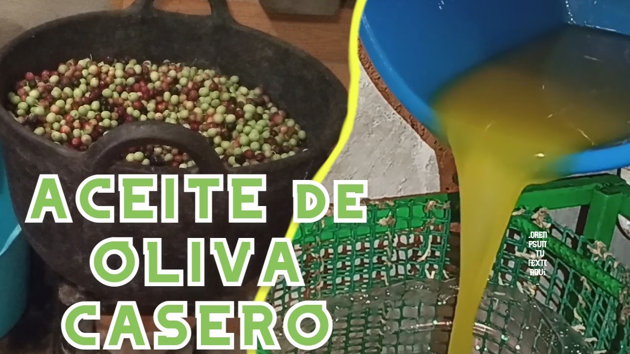 Como hacer ACEITE de OLIVA casero VIRGEN EXTRA || Prensado en frio