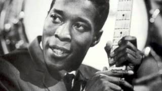 Buddy Guy - She Suits Me To a Tee