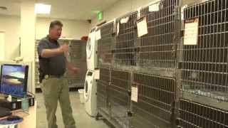 preview picture of video 'Aiken County Animal Shelter Medical Building'