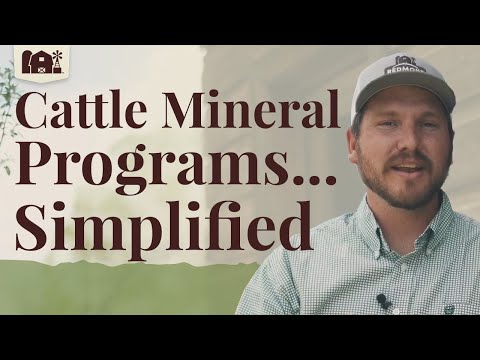 Redmond Cattle Mineral Supplements