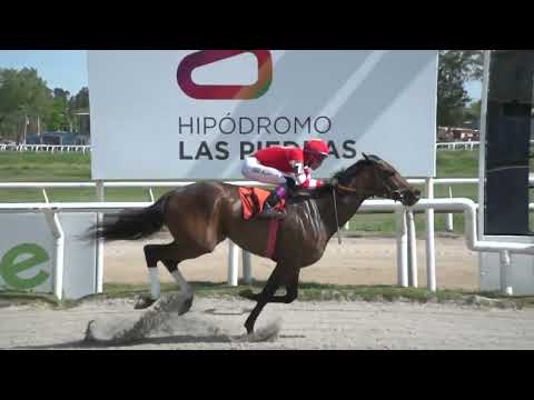 231021 C 06 - CHULA - HIPODROMO LAS PIEDRAS