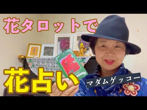 花タロットを使い、宇宙から花メッセージを伝えます イメージ1