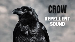 Crow Repellent Sound