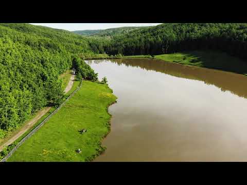 Lac in Cotmeana, Arges 4K UHD