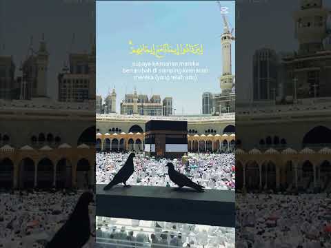 🕋✨ #shorts #ytshorts_ #youtubeshorts