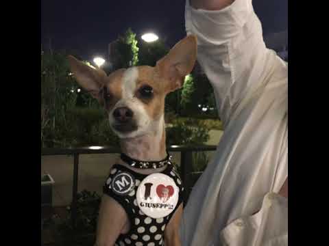 download lagu mp3 mp4 Michaels Downtown, download lagu Michaels Downtown gratis, unduh video klip Michaels Downtown