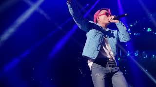 더몬스터8 PH-1 Woodie Gochild 롤케이크