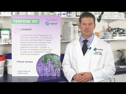download lagu mp3 mp4 Linalool, download lagu Linalool gratis, unduh video klip Linalool