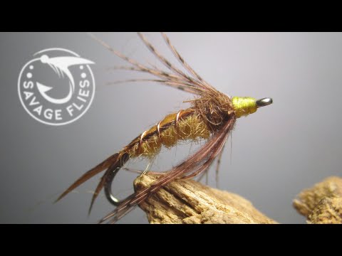 Golden Stonefly