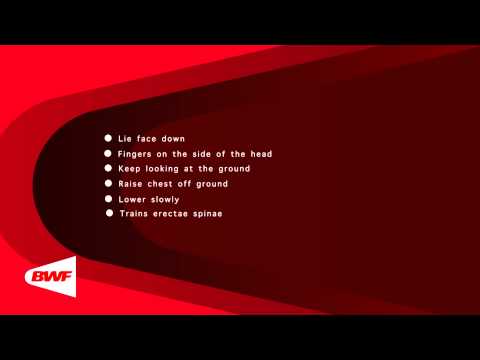 CE2M8V29 Body Weight   Back Raise