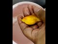 Cesarean of a DEAD Molly fish to retrieve its babies | #cesareanbirth #deadfish  #fishbirth #molly