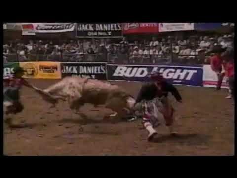 Strawberry Wine bucks Scott Breding - 97 PBR Ft. Worth